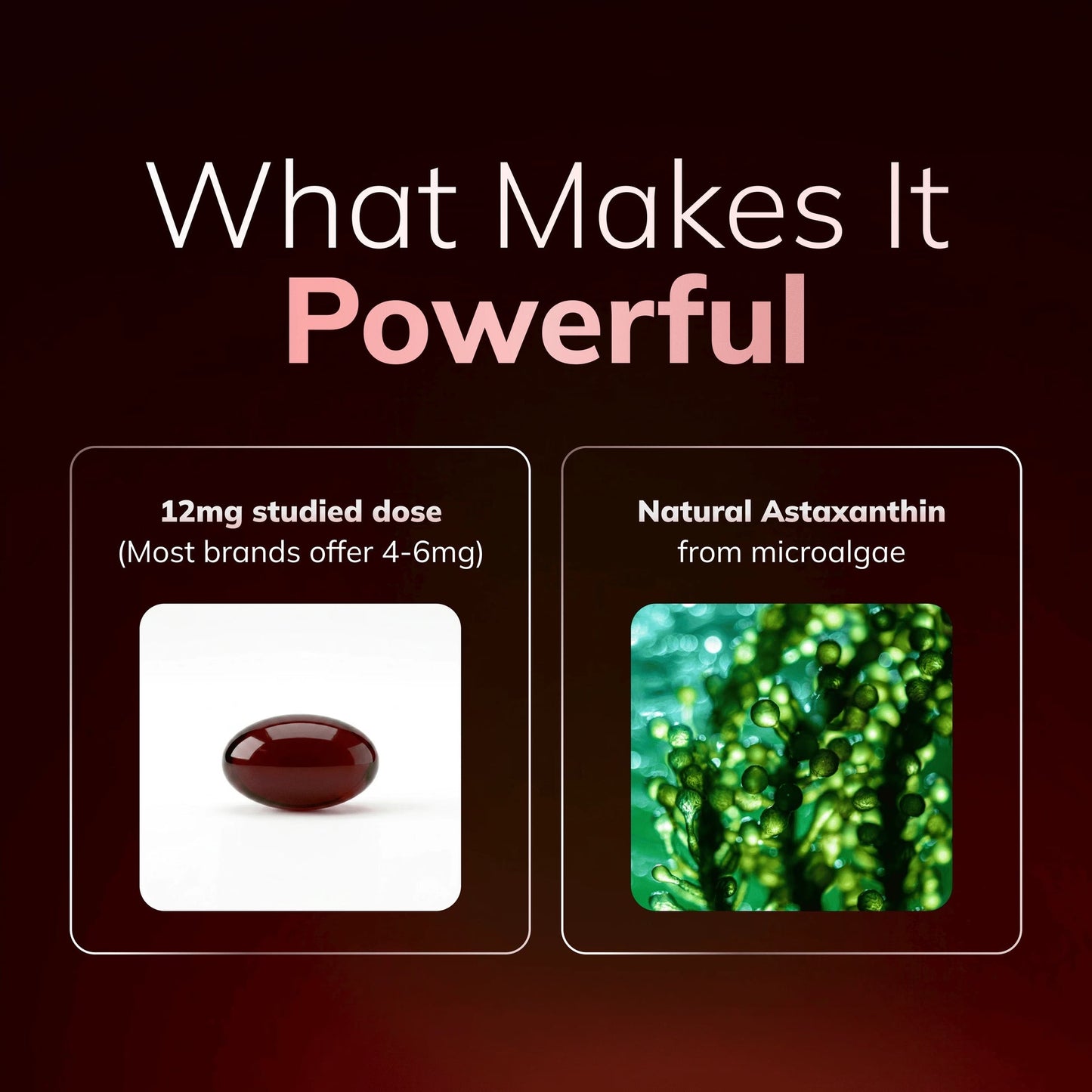 Astaxanthin 12mg Softgels, Triple Strength Antioxidant, 60 Ct | Triple Strength Antioxidant from Microalgae; supports eye, skin, immune & joint health; Non-GMO, Gluten Free, 60 ct